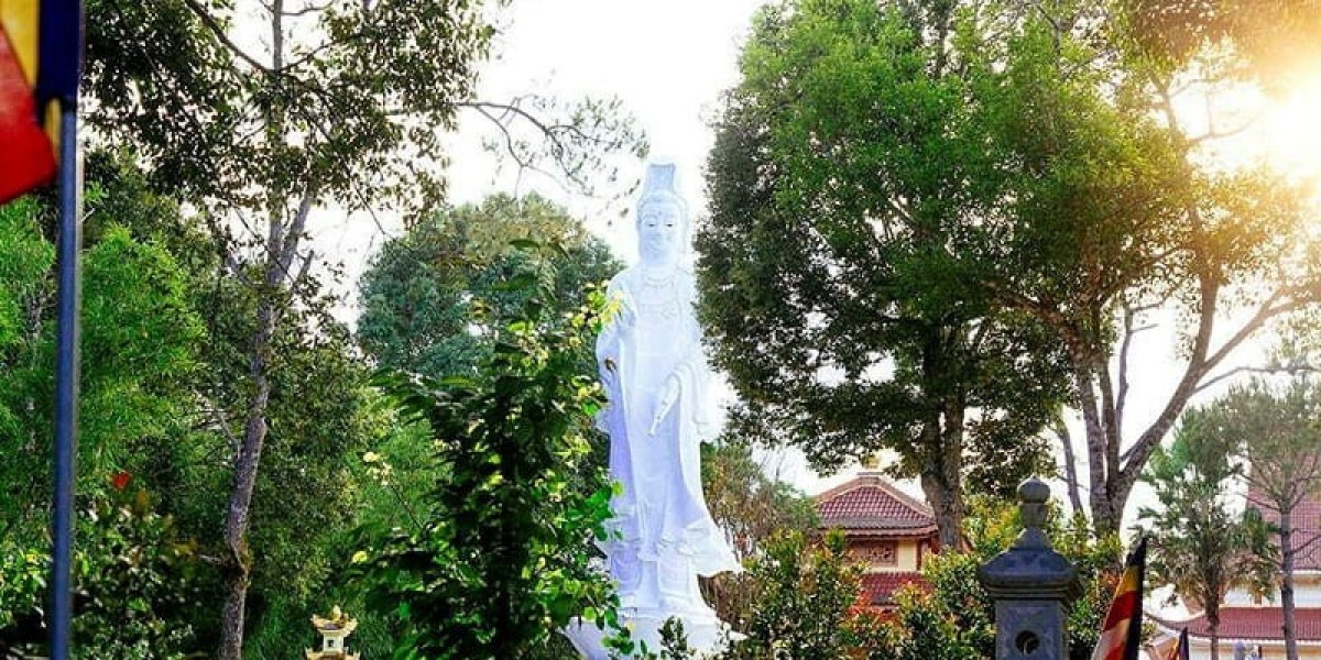 Kham Pha Dac San Mang Den – Huong Vi Nui Rung Tay Nguyen Khien Du Khach Nho Mai