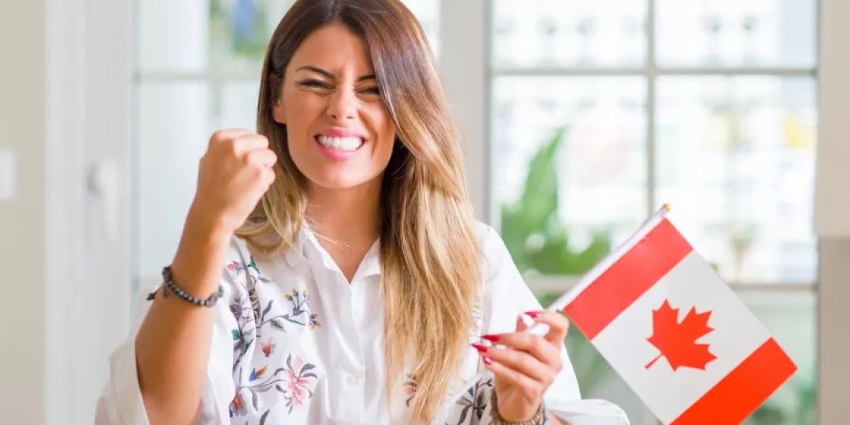 A Complete Guide to US Visa Appointment Consultants in Canada