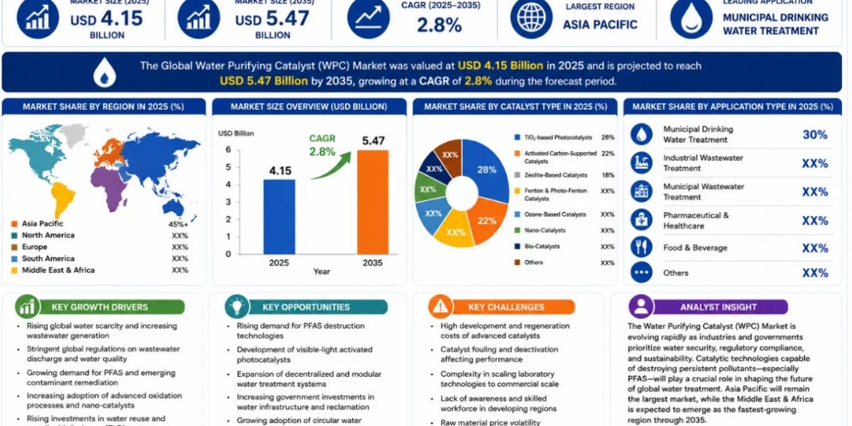 Water Purifying Catalyst Market Industry Analysis and Competitive Landscape