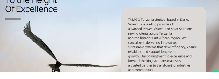Tamgo Tanzania Limited Cover Image