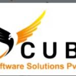 Vcubesoftwaresolutions Profile Picture