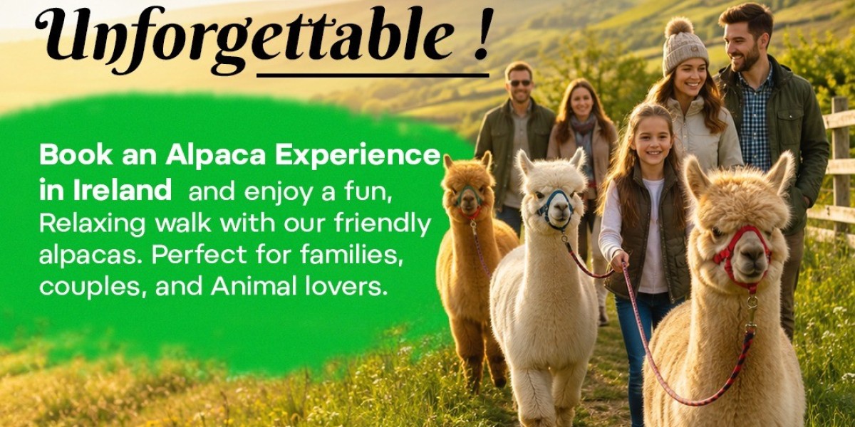 Hire Alpacas for Weddings, Events, School Visits & Experiences in Ireland