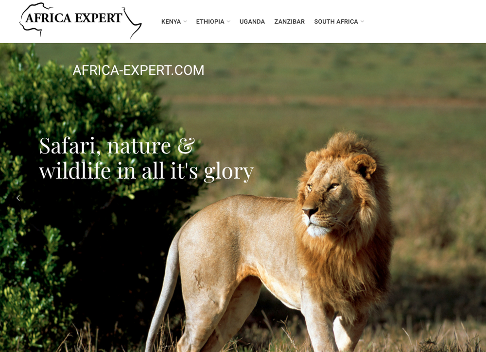 Portrait Photography for Artists in Africa - Mikkel Grabowski