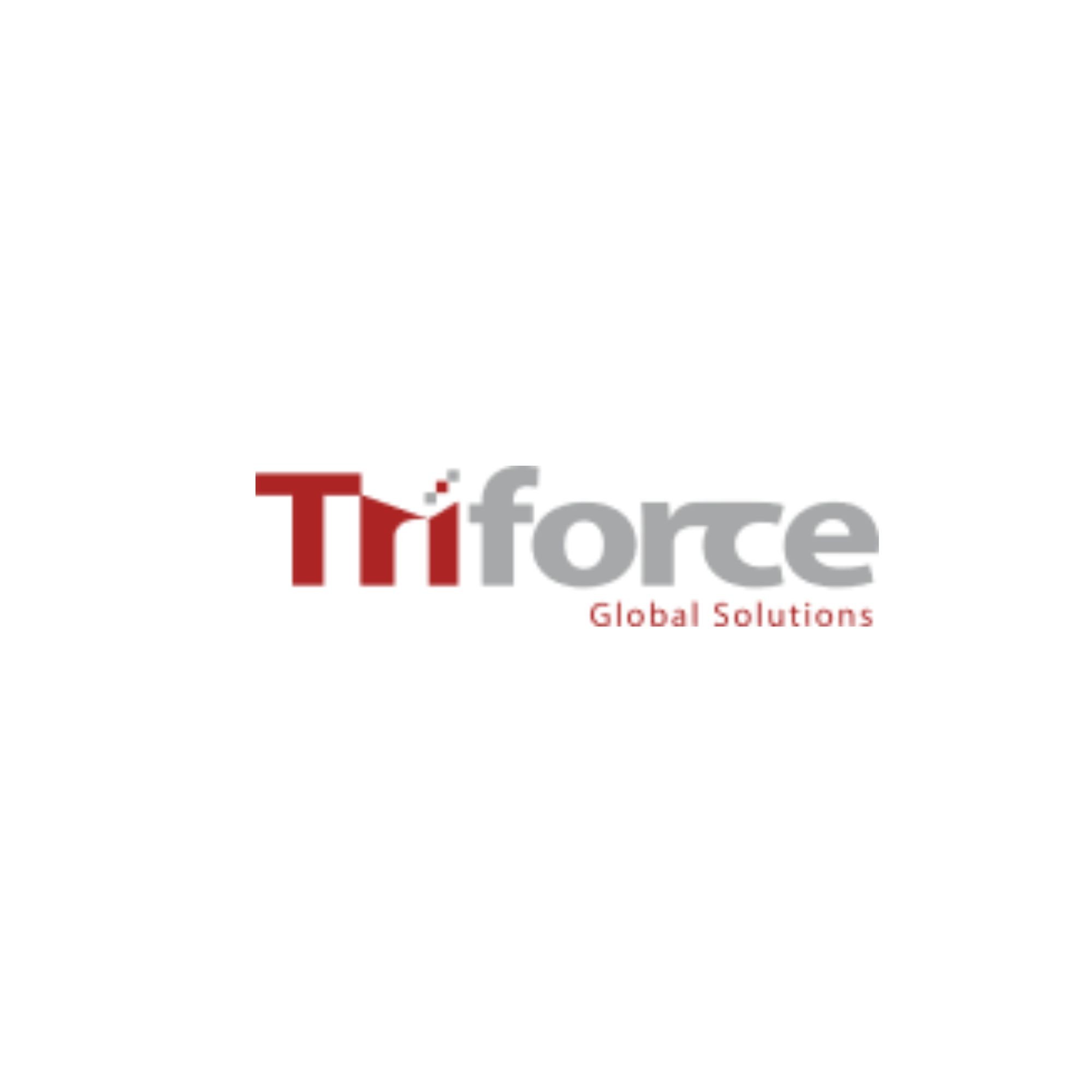 Triforce Global Solutions Profile Picture