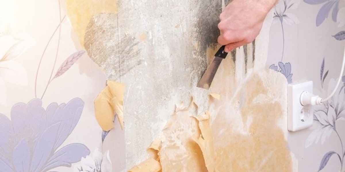 Wallpaper Removal in Raleigh NC
