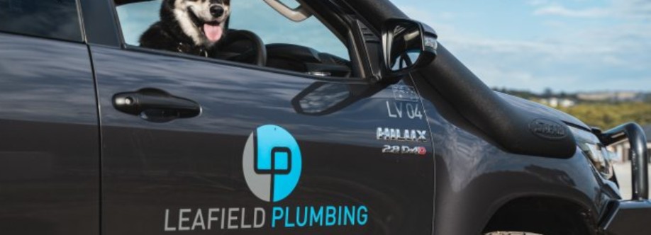 Plumber Plympton Cover Image