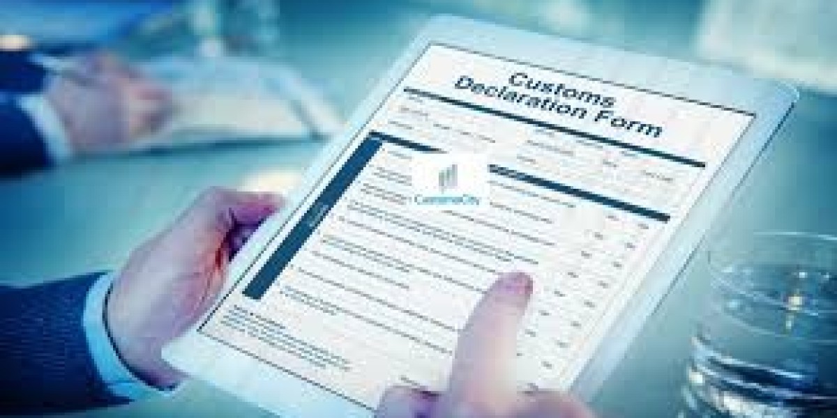 Best Customs Clearance Software and Entry Type 11 for Efficient Import Operations