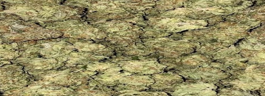 Green Therapy Cover Image