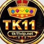 tk11 vipnet Profile Picture