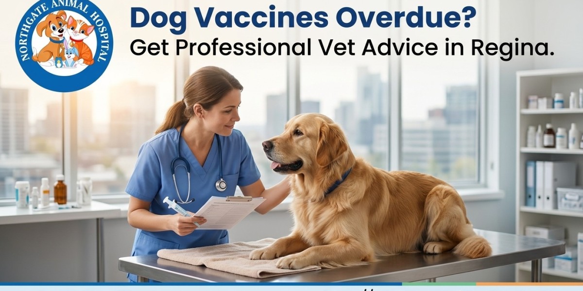 Dog Vaccines Overdue? Get Professional Vet Advice in Regina