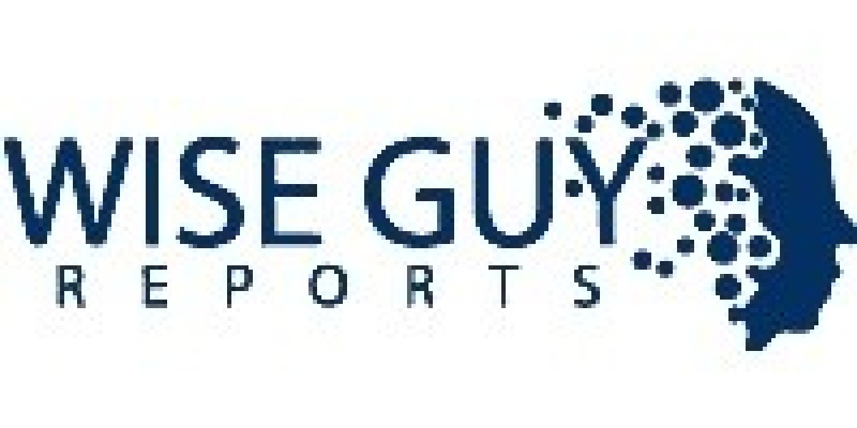 Water Purification Tablets Market Outlook and Water Safety Trends