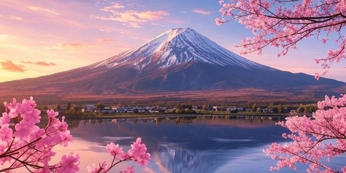 Understanding the Japan Visa Application Form: A Step-by-Step Guide