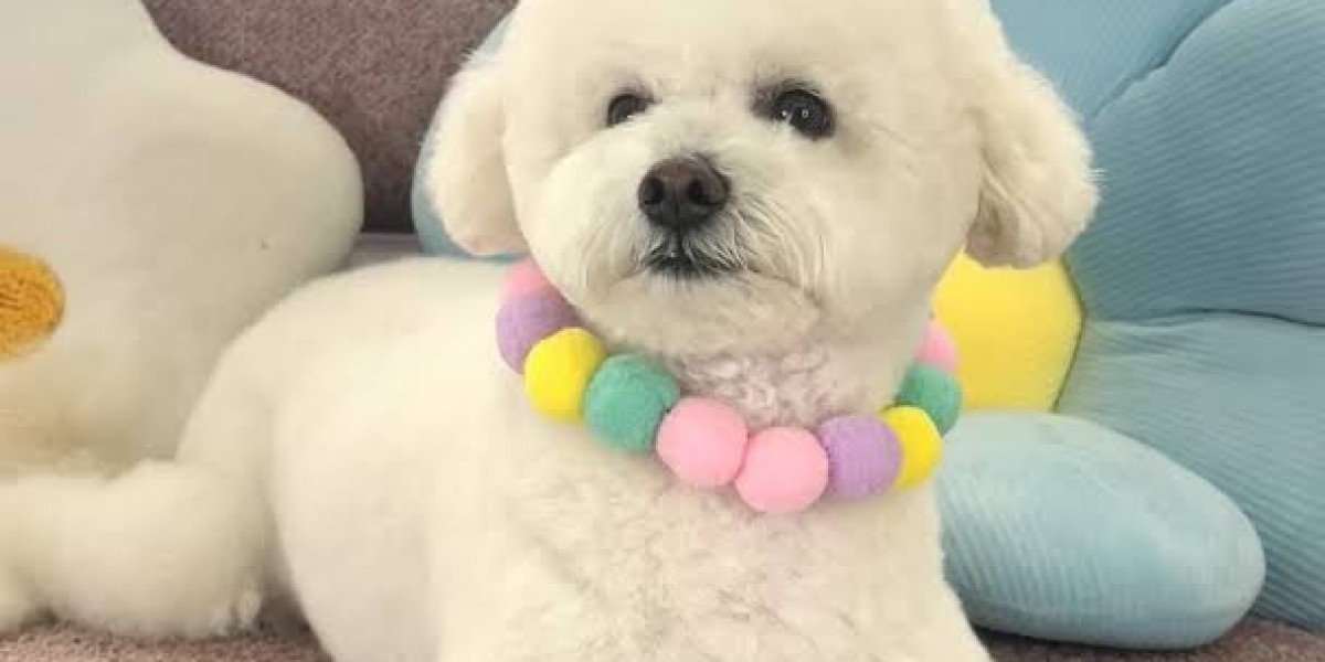 Top Benefits of Asian Fusion Dog Grooming for Dogs of All Breeds