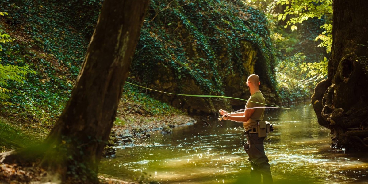 Top Outdoor Activities in North Georgia for Nature Lovers and Adventure Seekers