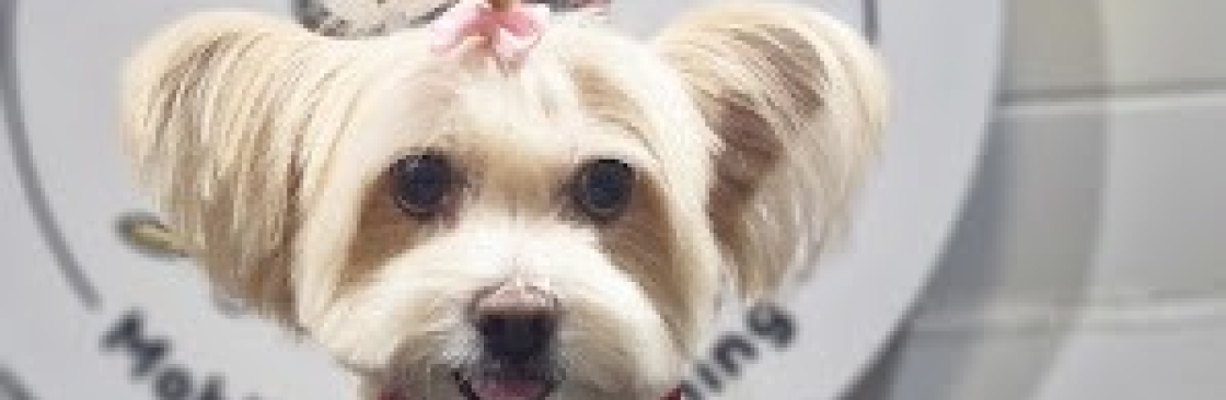 Fluffy Tails Staff Cover Image