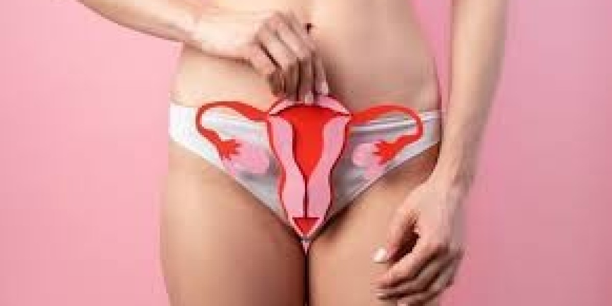 A Beginner’s Guide to Labiaplasty Surgery in Dubai for Women Seeking Comfort | Labiaplasty Surgery in Dubai