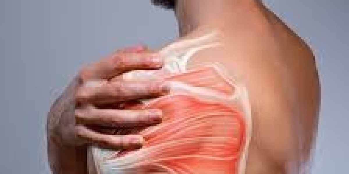 Back Pain Physiotherapy and Shoulder Pain Physiotherapy A Practical Guide to Recovery