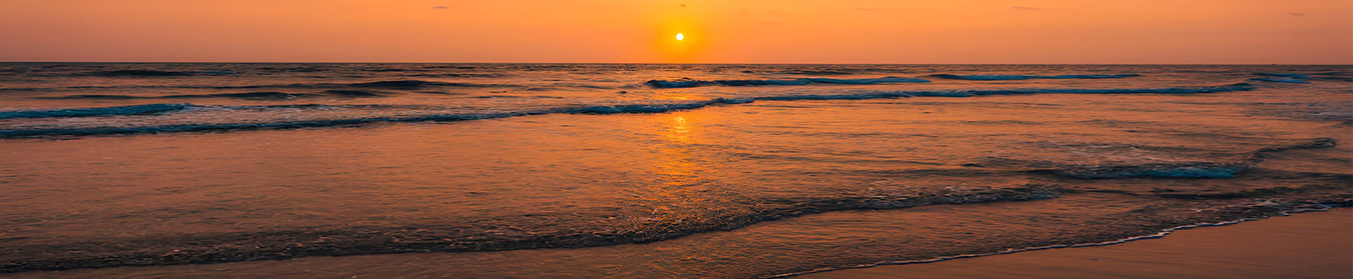 Somatic Experiencing Therapy | Trauma Healing Therapy Support