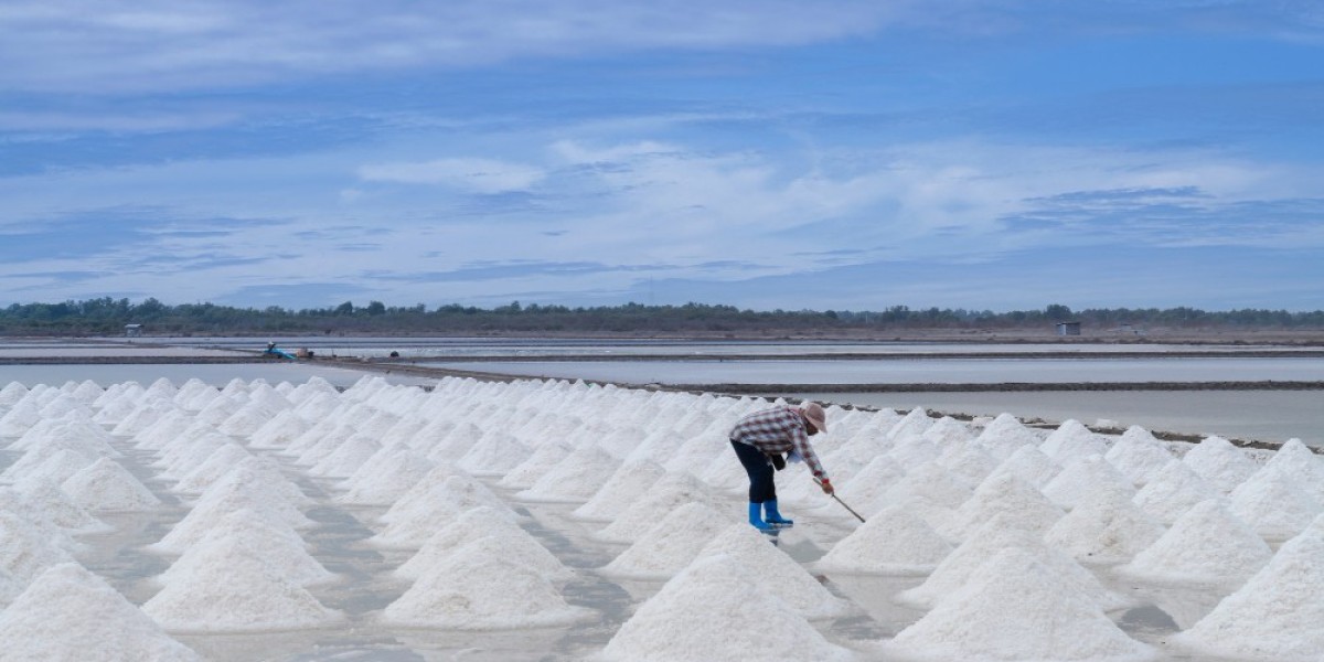Iodized Salt vs Refined Salt: What's the Real Difference?