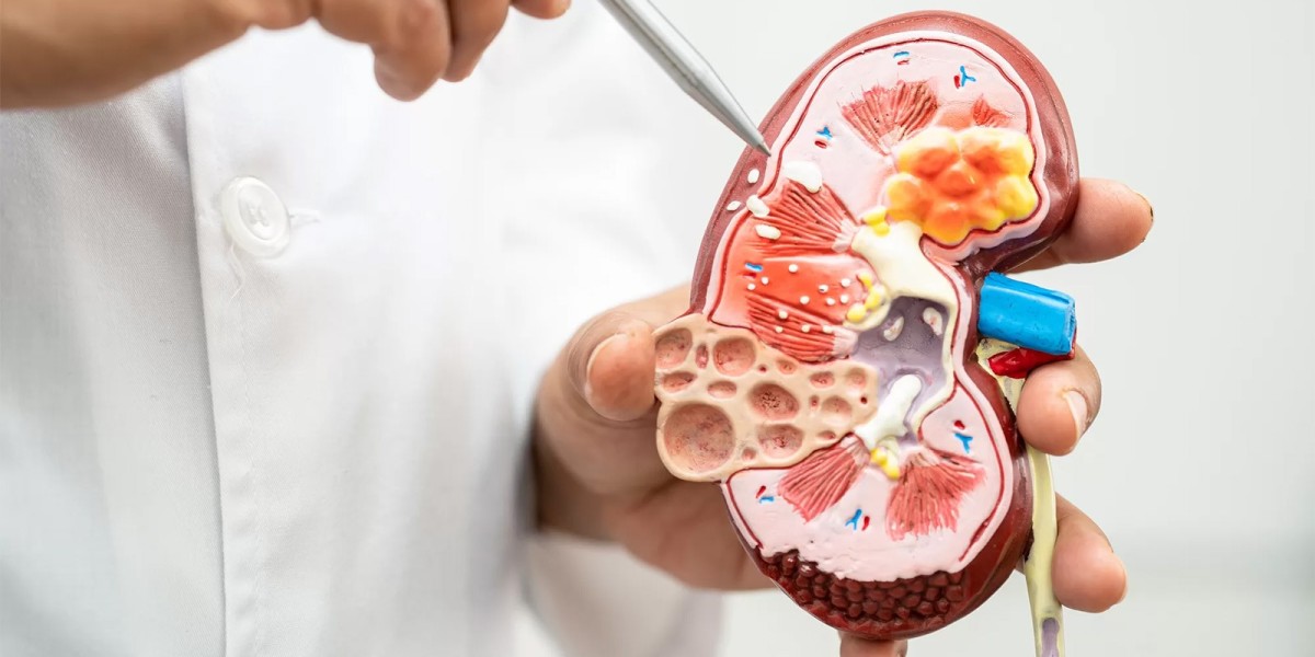 Kidney Problems Blood Test in Dubai: Before Testing