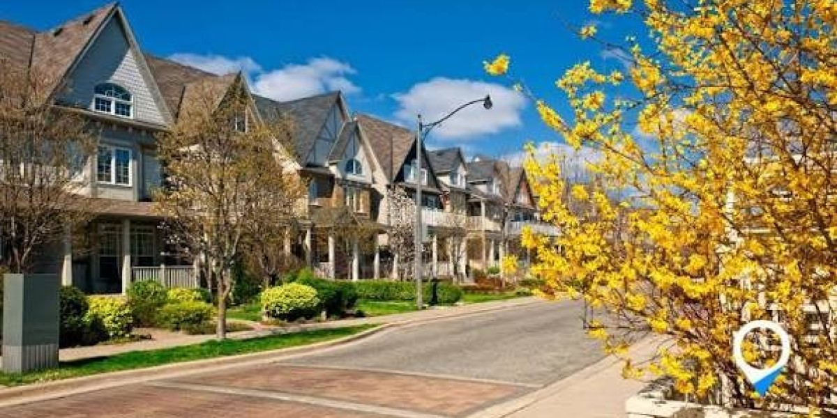 Article Picture