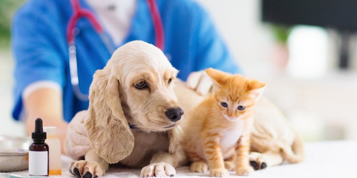 Pet Care Market Size, Trends, Growth and Forecast 2035