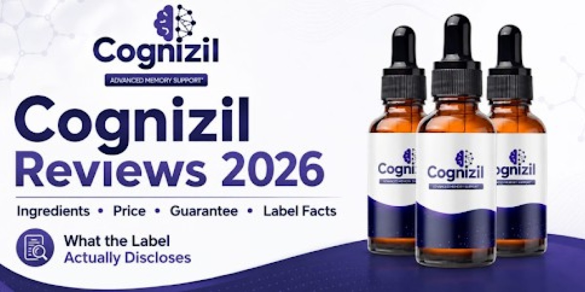 Cognizil: An Essential Guide for Users