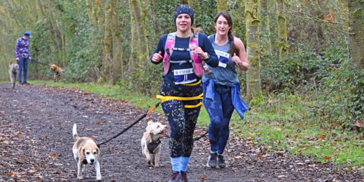Why a Professional Dog Running Service Enhances Canine Longevity