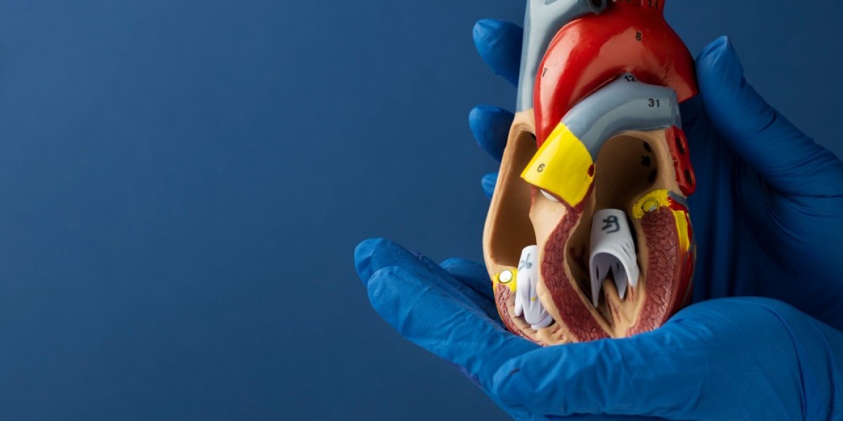 How to Choose the Best Cardiac Surgeon in India: Key Factors to Consider