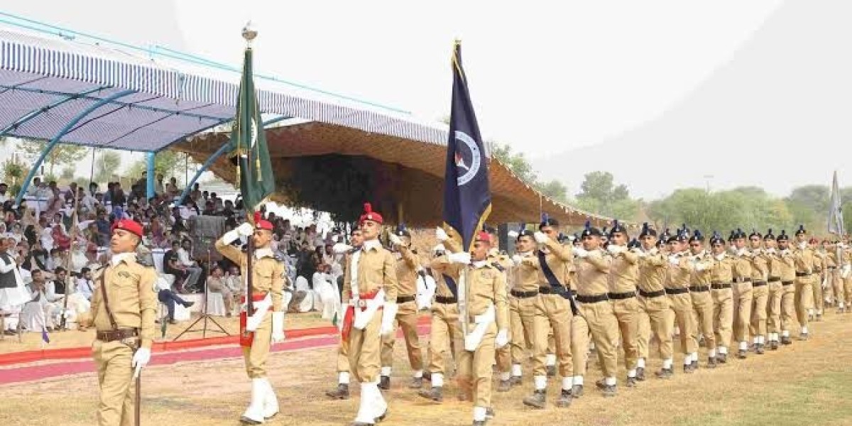 Article Picture