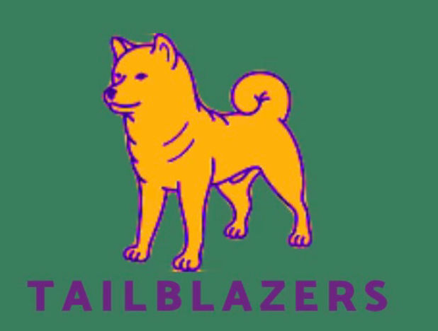 Dog Boarding Near Me Westchester County NY - Tailblazers