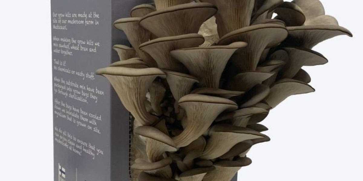 Stand Out On Shelves Using Custom Mushroom Boxes