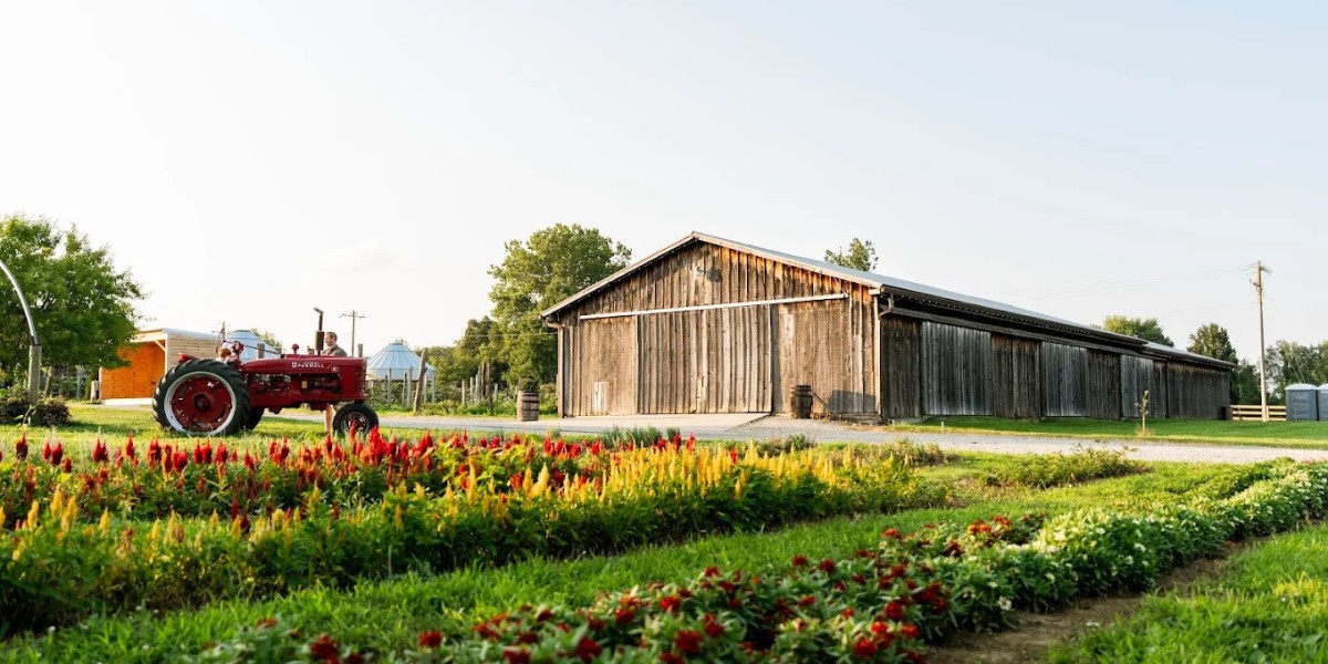 Relaxed Evenings and Live Music at Hidden Valley Orchards