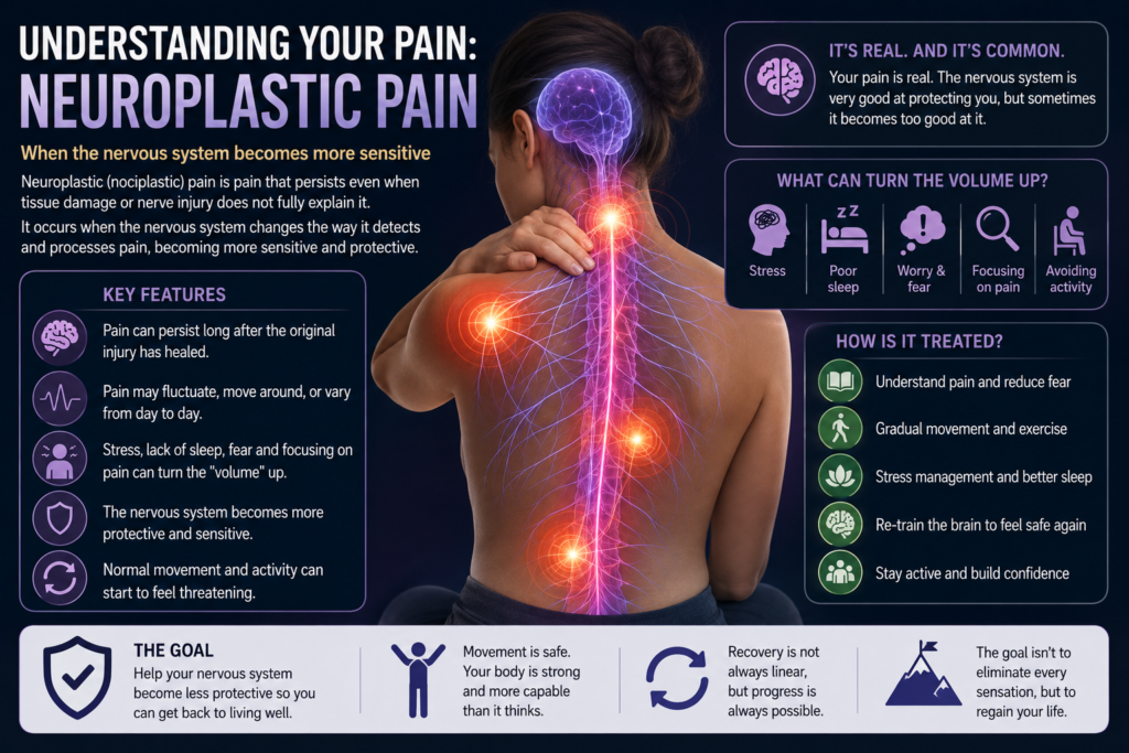 Neuroplastic Pain/Pain Sensitisation - Sydney Chiropractic & Massage