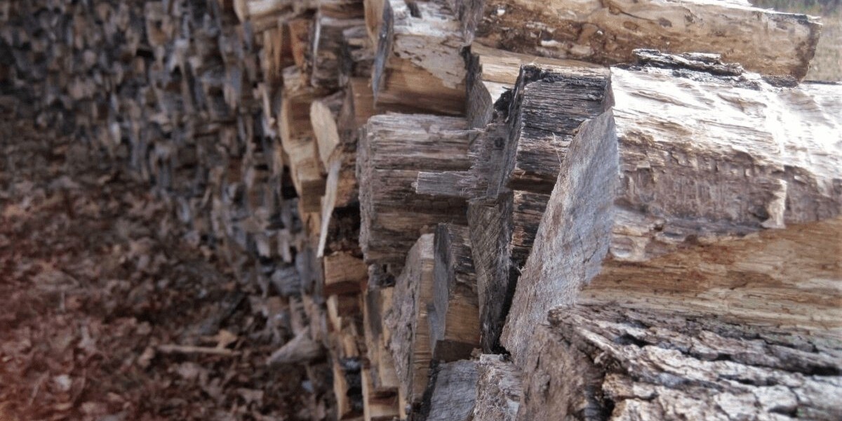 Firewood Near Me? Turn Unwanted Trees Into Useful Firewood
