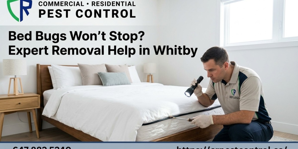 Bed Bugs Won’t Stop? Expert Removal in Whitby