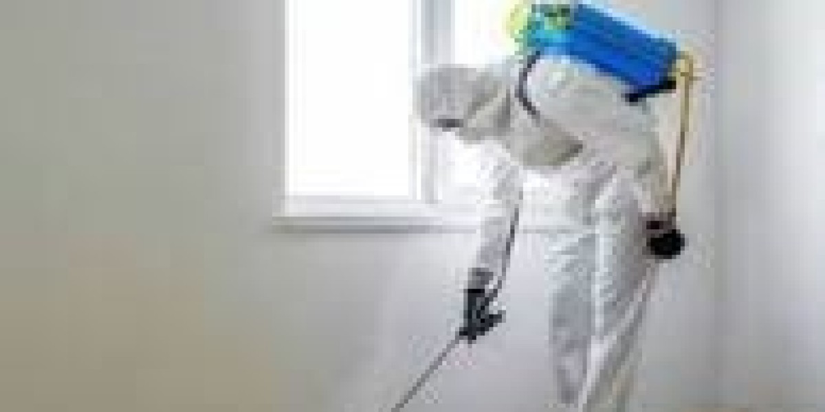 Pest Control NYC Rodents: Effective Solutions for Staten Island Homes and Businesses