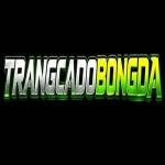 Trang Cá Độ Bóng Đá Profile Picture