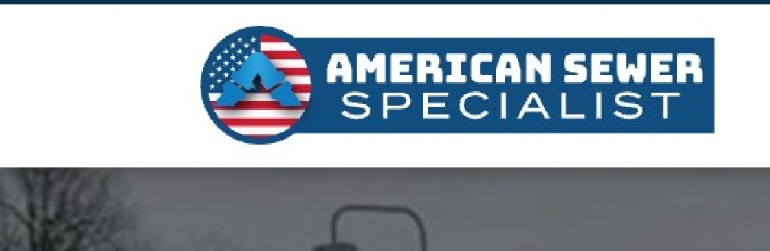 American Sewers Cover Image