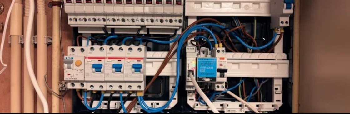 Elektro Blommestein Cover Image