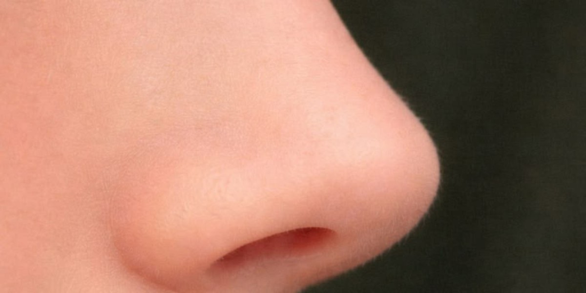 Nose Tip Plasty: A Complete Guide for Beginners