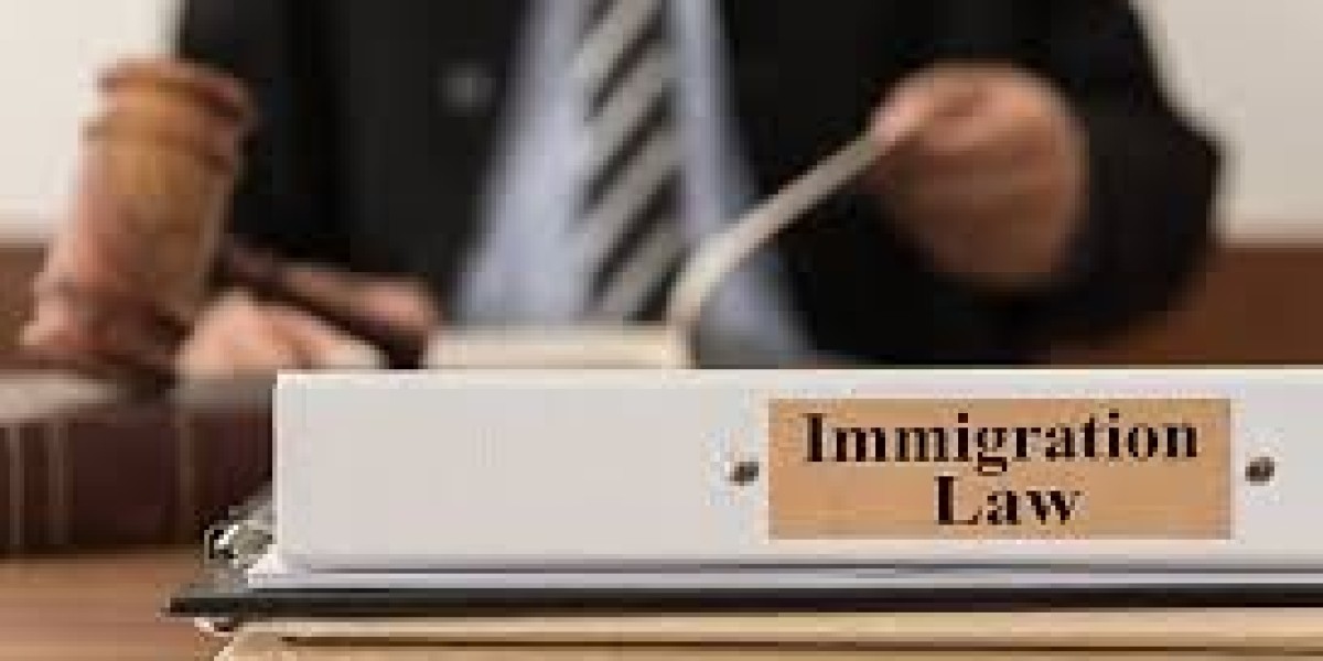 Trusted Toronto Immigration Lawyer for Canadian Immigration Services
